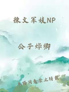 辣文军妓NP