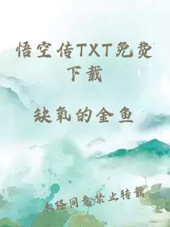 悟空传TXT免费下载