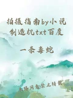 拍摄指南by小说制造机txt百度