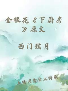 金银花《下厨房》原文