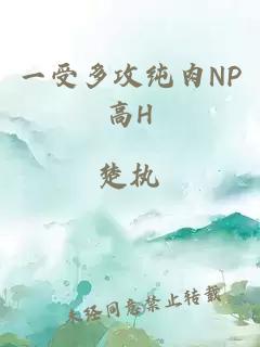 一受多攻纯肉NP高H