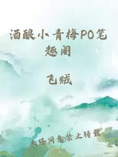 酒酿小青梅PO笔趣阁