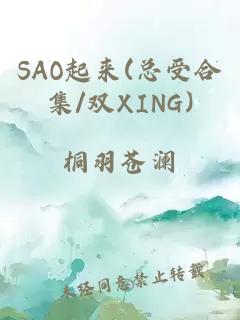 SAO起来(总受合集/双XING)