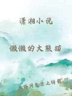 潇湘小说