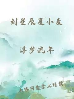 刘星辰夏小麦