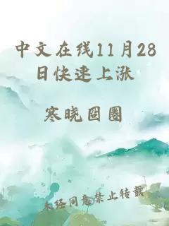 中文在线11月28日快速上涨