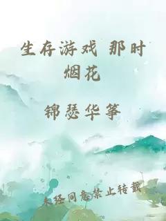 生存游戏 那时烟花