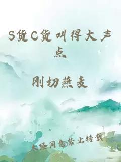 S货C货叫得大声点