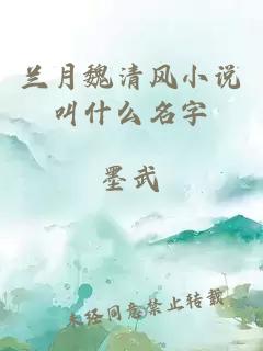 兰月魏清风小说叫什么名字