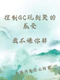 控制GC玩到哭的感受