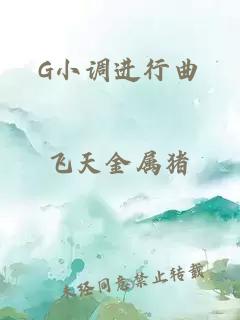 G小调进行曲