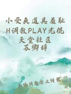 小受夹道具羞耻H调教PLAY光棍天堂社区