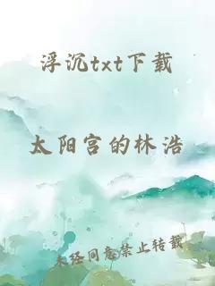 浮沉txt下载