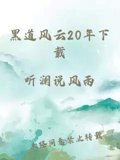 黑道风云20年下载