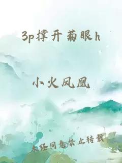 3p撑开菊眼h