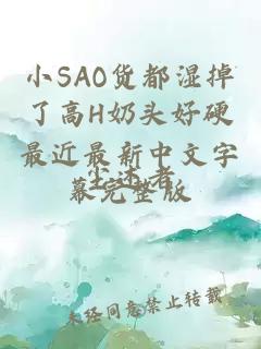 小SAO货都湿掉了高H奶头好硬最近最新中文字幕完整版