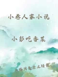 小巷人家小说