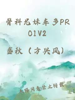 骨科兄妹车多PRO1V2