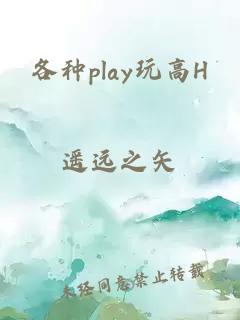 各种play玩高H