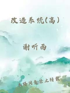 改造系统(高)