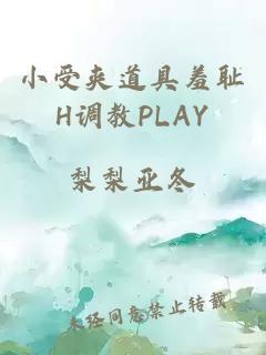 小受夹道具羞耻H调教PLAY