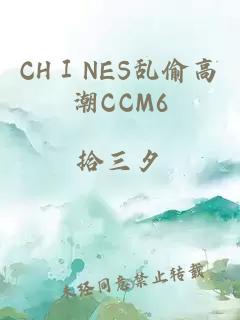 CHⅠNES乱偷高潮CCM6