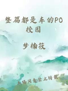 整篇都是车的PO校园