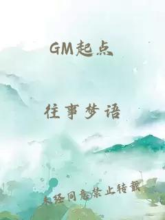 GM起点