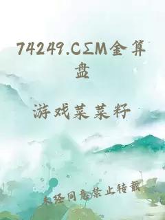 74249.CΣM金算盘