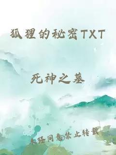 狐狸的秘密TXT