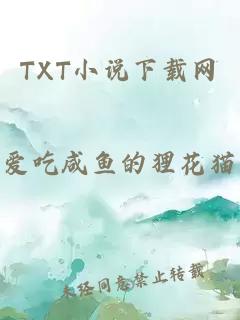 TXT小说下载网