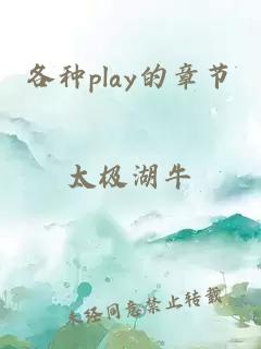 各种play的章节