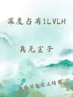 深度占有1LVLH