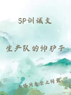 SP训诫文