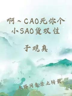 啊～CAO死你个小SAO货双性