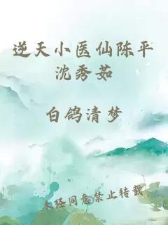 逆天小医仙陈平沈秀茹