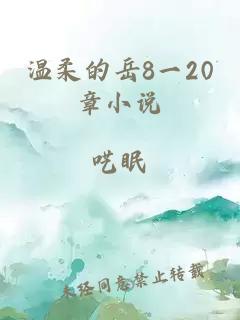 温柔的岳8一20章小说