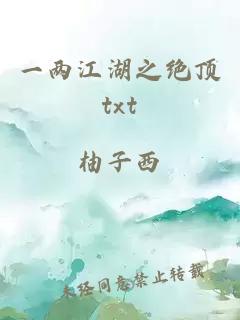 一两江湖之绝顶txt