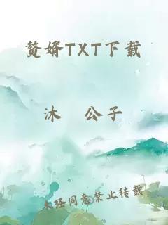 赘婿TXT下载