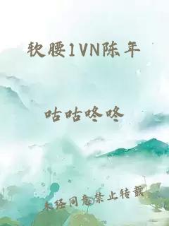 软腰1VN陈年