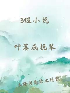 3级小说