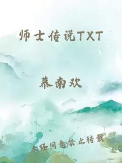 师士传说TXT