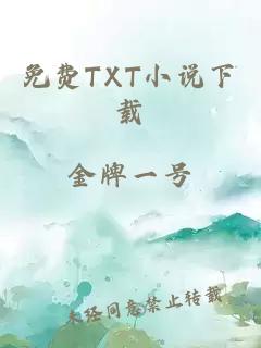 免费TXT小说下载