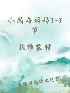 小武与妈妈1~9节