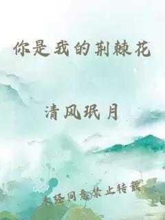 你是我的荆棘花