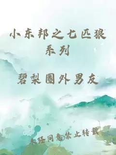 小东邦之七匹狼系列