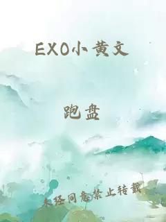 EXO小黄文