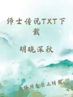 师士传说TXT下载