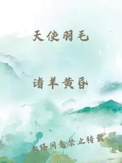 天使羽毛