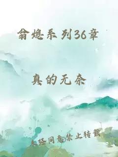 翁熄系列36章